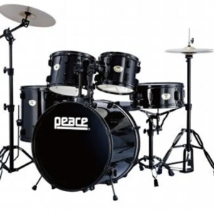 DP-2216B