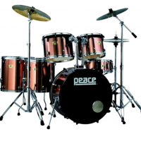DP-210 
