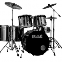 DP-20NEL-5
