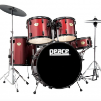 DP-2216CWR