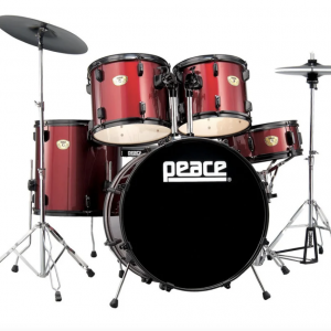 DP-2216CWR 