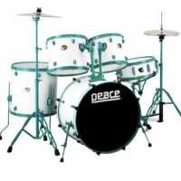 DP-22DGD-5GW