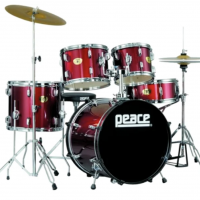 PEACE DP-109CHWR