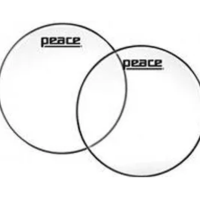 DHE-101 пластик 10"